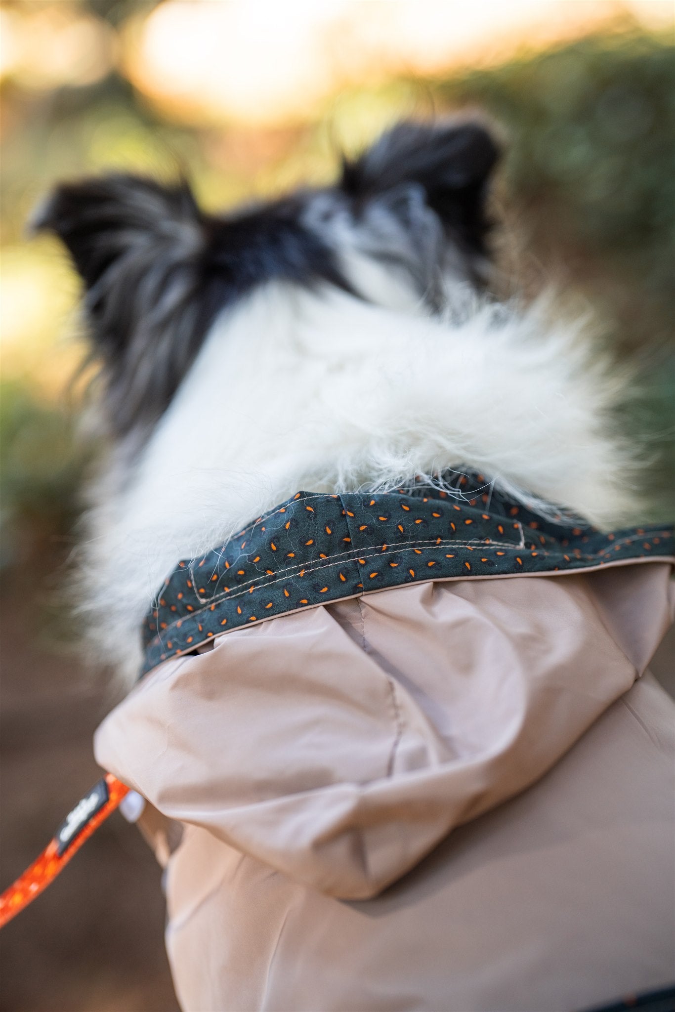 Hooded trench coat