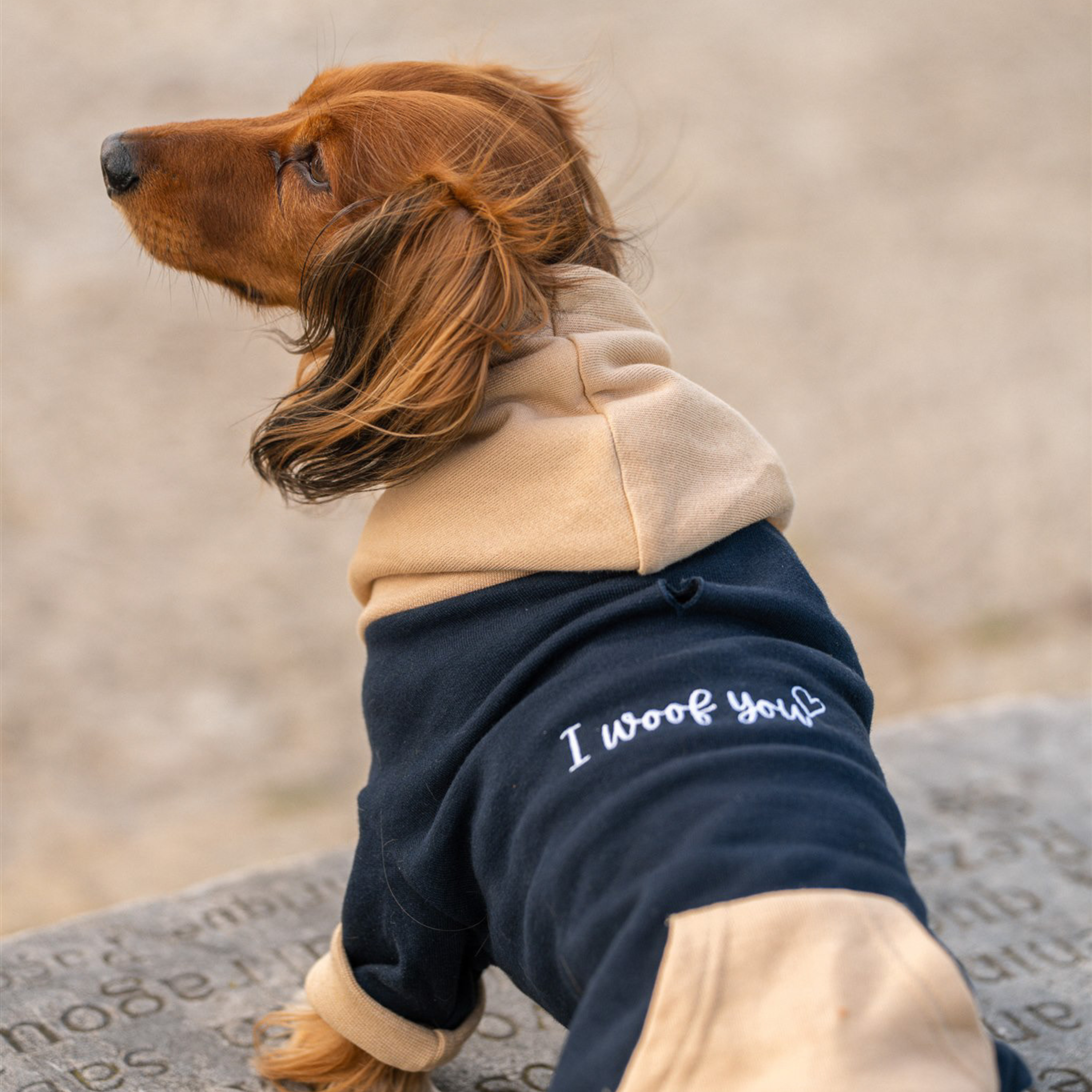Sudaderas para mascotas