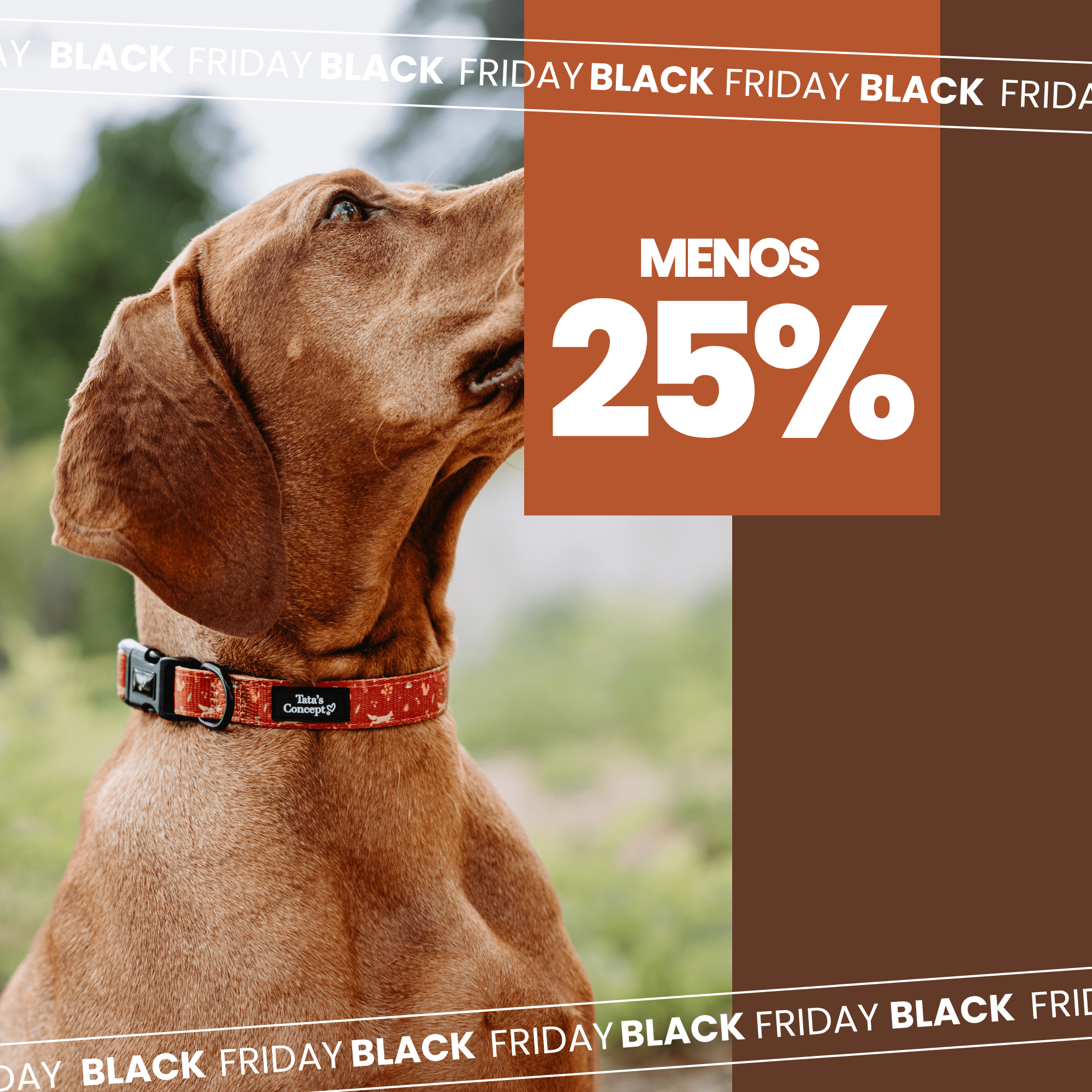 25% de desconto