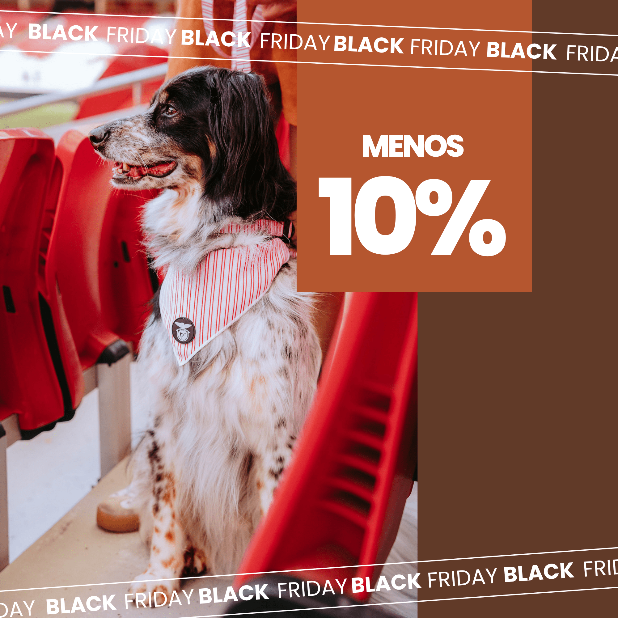 10% de desconto