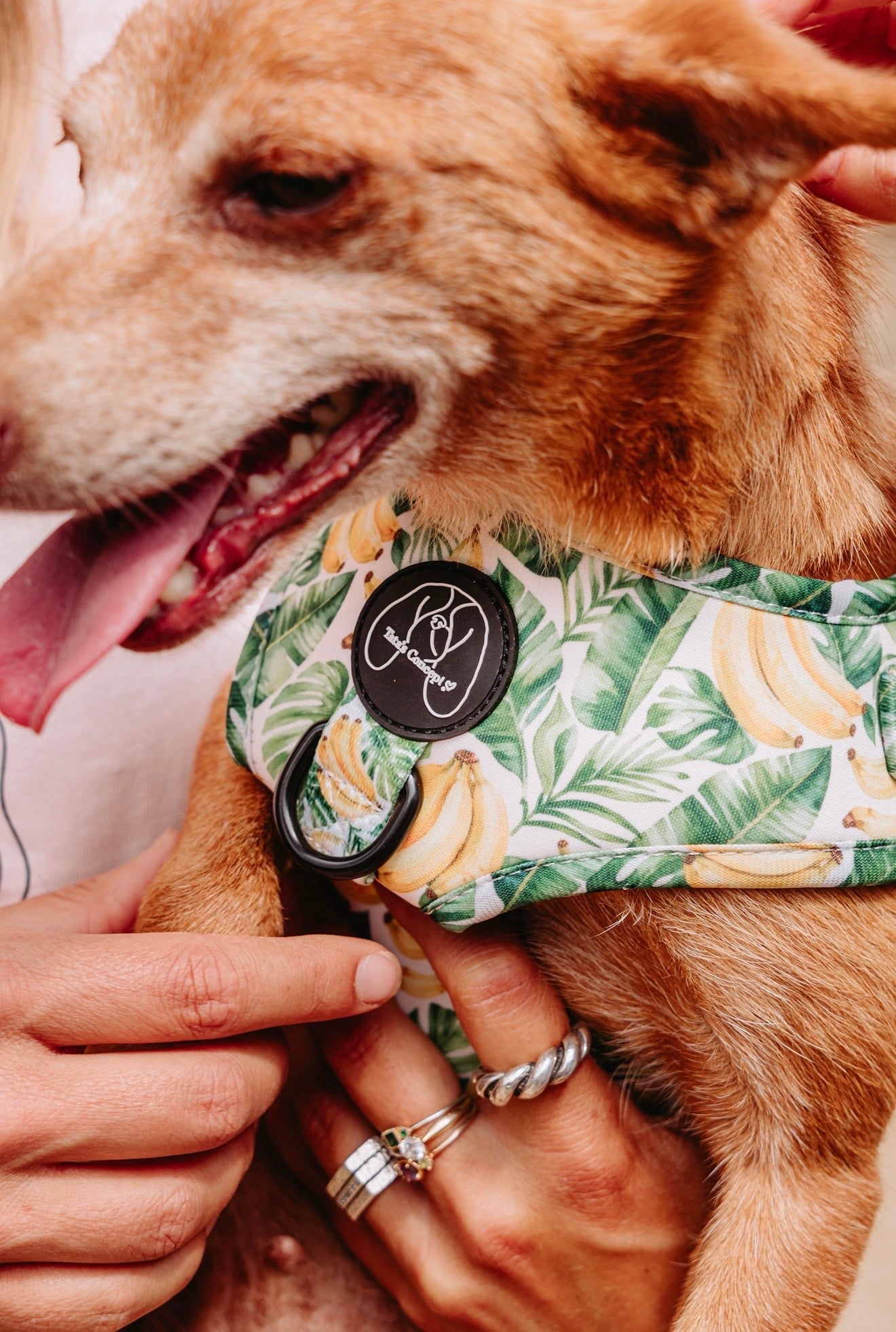 Tropical Lover