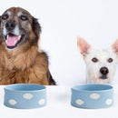Cloud Pet Bowl 16.5cm 2-Piece Set