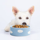 Cloud Pet Bowl Set, 14cm, 2 pieces