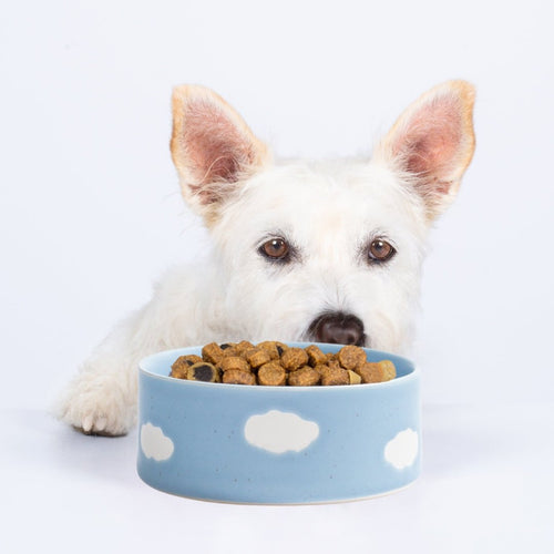 Cloud Pet Bowl Set, 14cm, 2 pieces