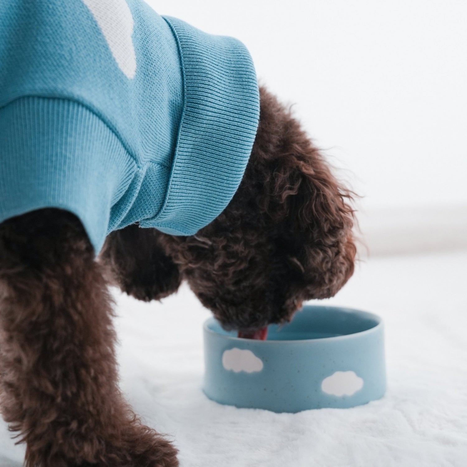 Cloud Pet Bowl Set, 14cm, 2 pieces