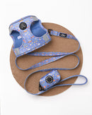 Pack Body Sports Lover