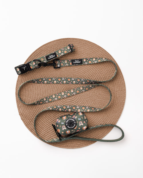 Pack Coleira Home Lover