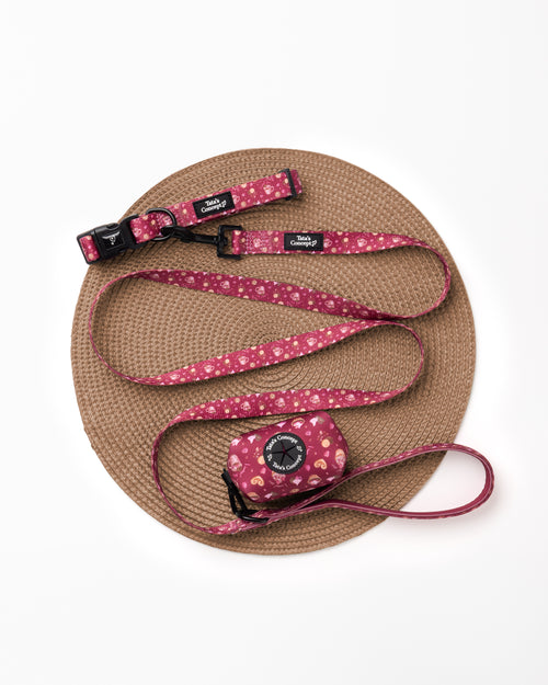 Pack Coleira Palmier Lover