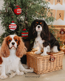 Bola de Natal Personalizada