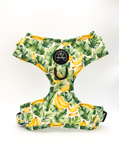 Peitoral Ajustável Tropical Lover