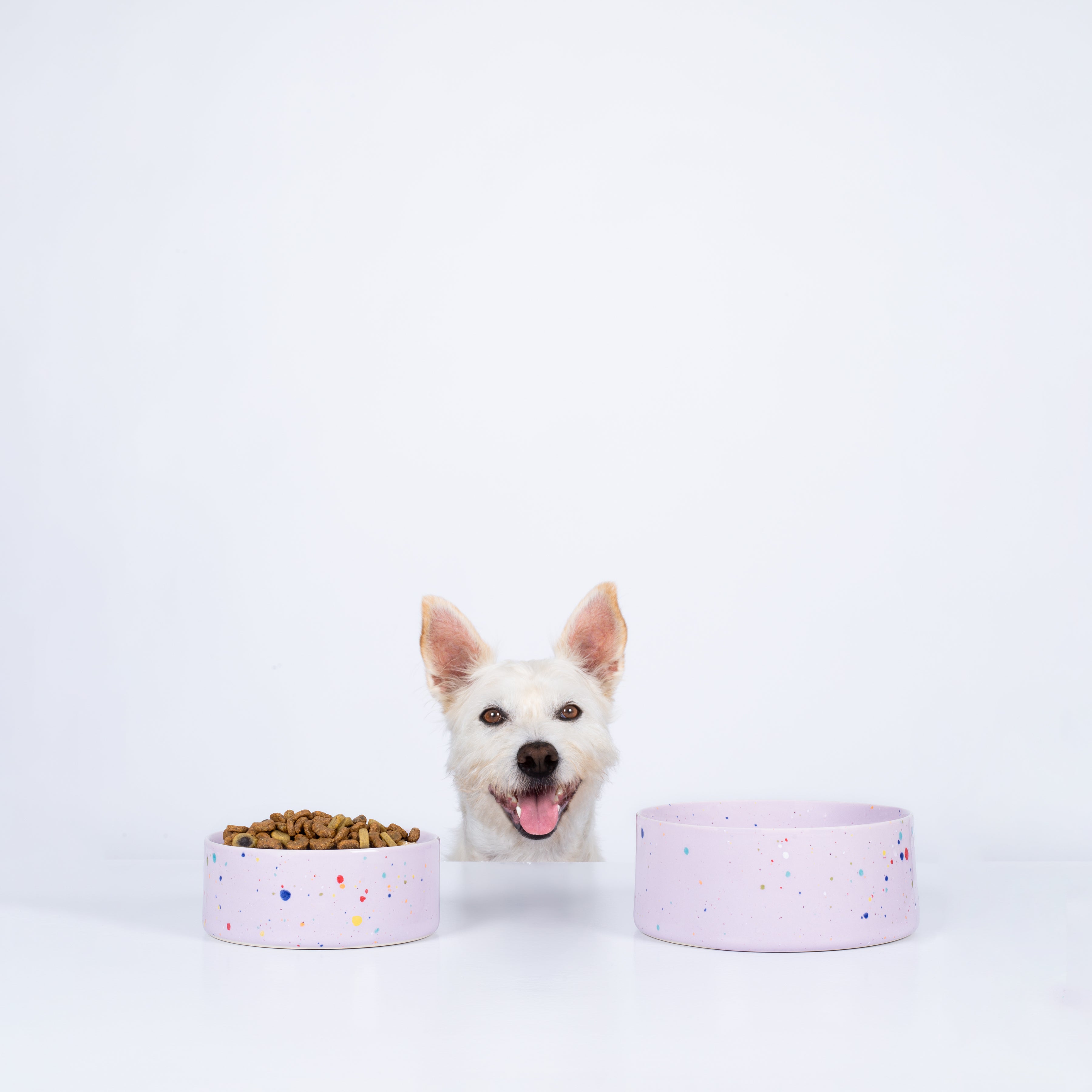 New Party Pet Bowl 14cm Set 2 Lilac
