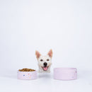 New Party Pet Bowl 16.5cm Set 2 Lilac