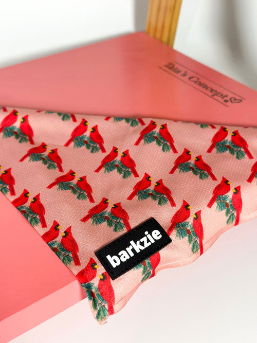 Bandanas - Tata's Concept ®️