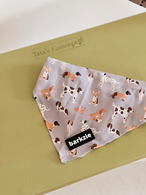 Bandanas - Tata's Concept ®️