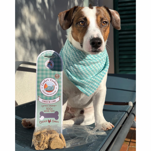 Biscoitos Clássicos - Tata's Concept ®️