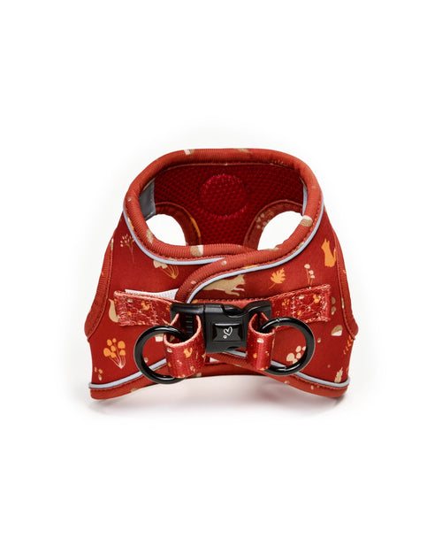 Arnés Body Puppy Lover