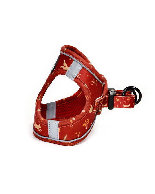 Arnés Body Puppy Lover