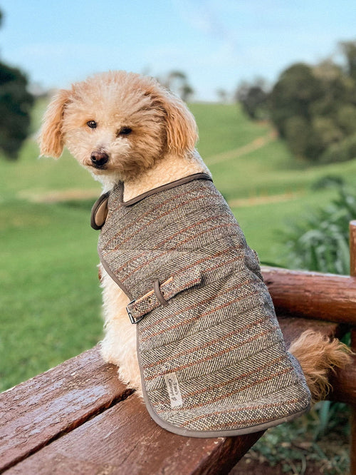 Capa Alentejana - Tata's Concept ®️