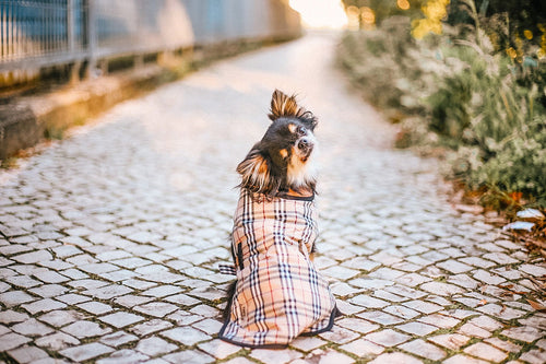 Capas Belém - Tata's Concept ®️