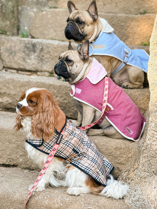 Capas Belém - Tata's Concept ®️