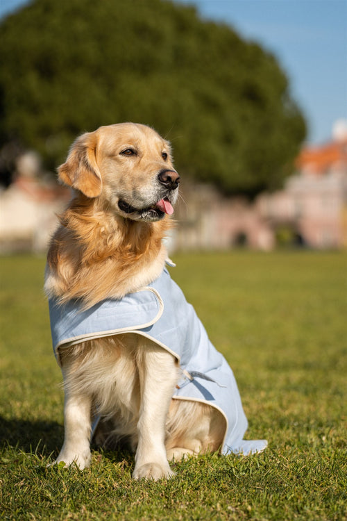 Capas Belém - Tata's Concept ®️