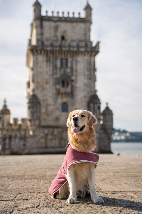 Capas Belém - Tata's Concept ®️