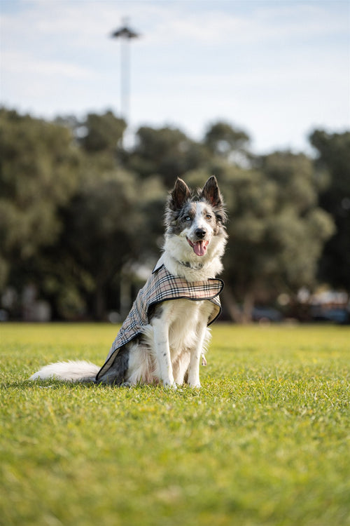 Capas Belém - Tata's Concept ®️