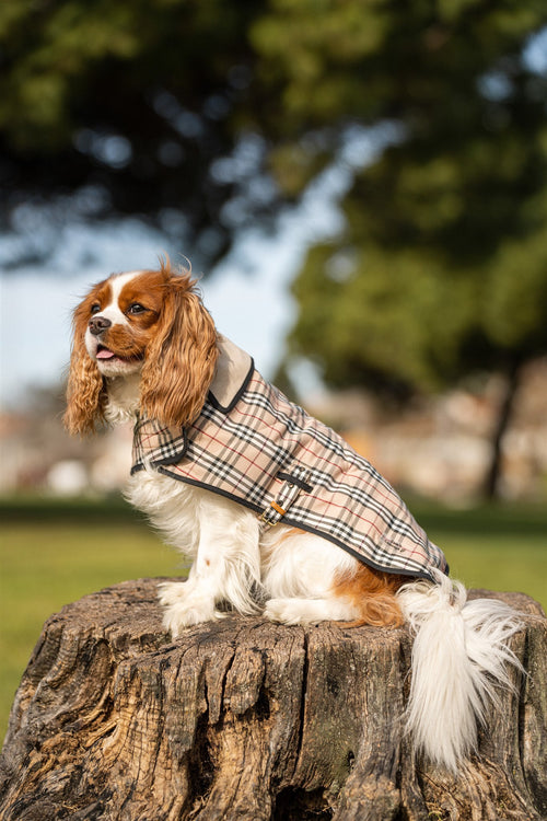 Capas Belém - Tata's Concept ®️