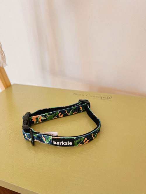 Coleiras - Tata's Concept ®️