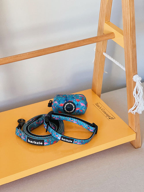 Coleiras - Tata's Concept ®️