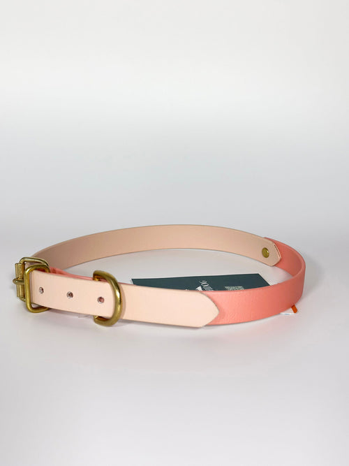 Coleiras Duo - Tata's Concept ®️