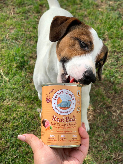 Comida Húmida Cão - Tata's Concept ®️