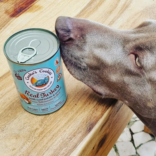 Comida Húmida Cão - Tata's Concept ®️