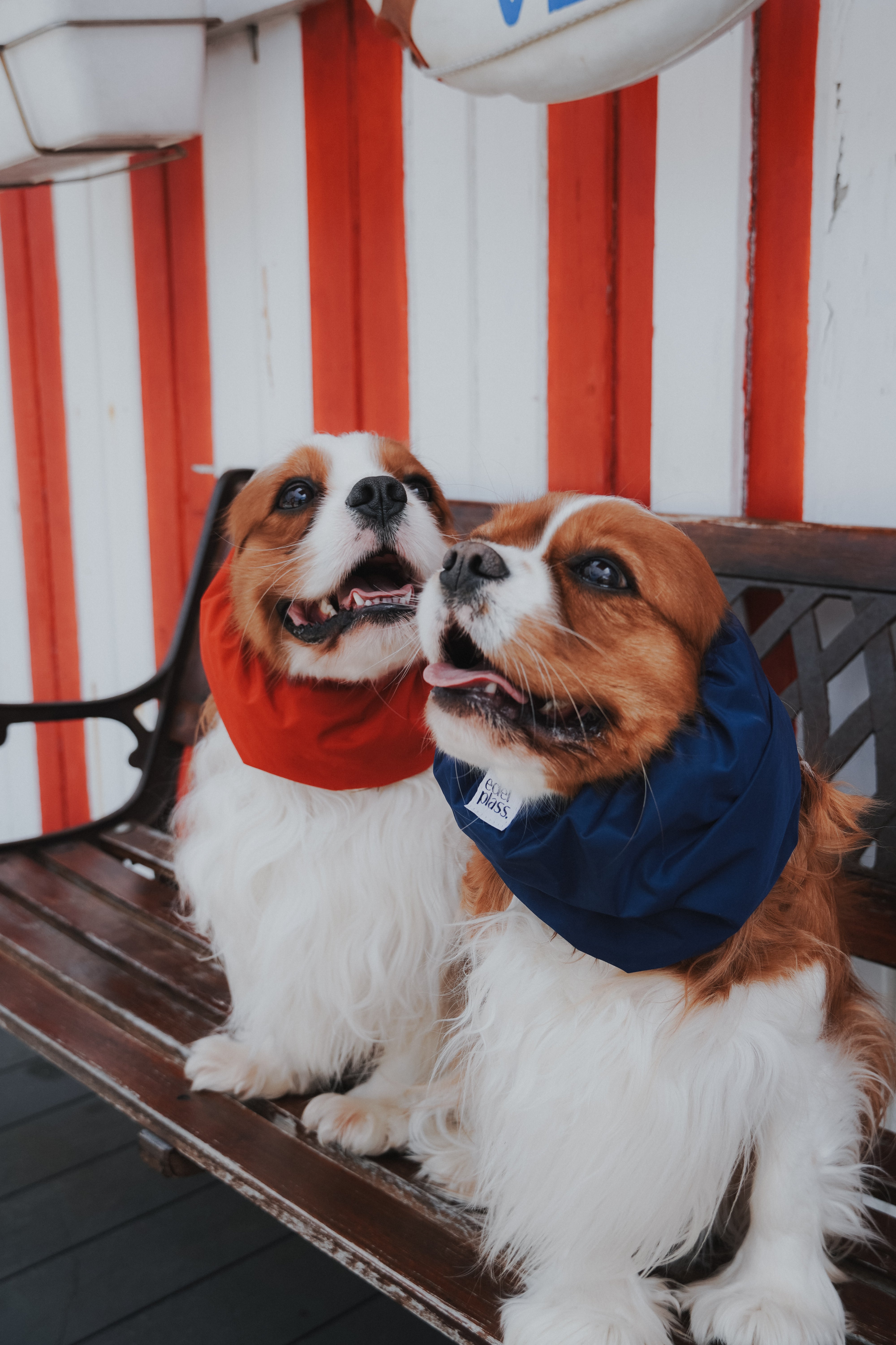 Snood Sailor Spirit