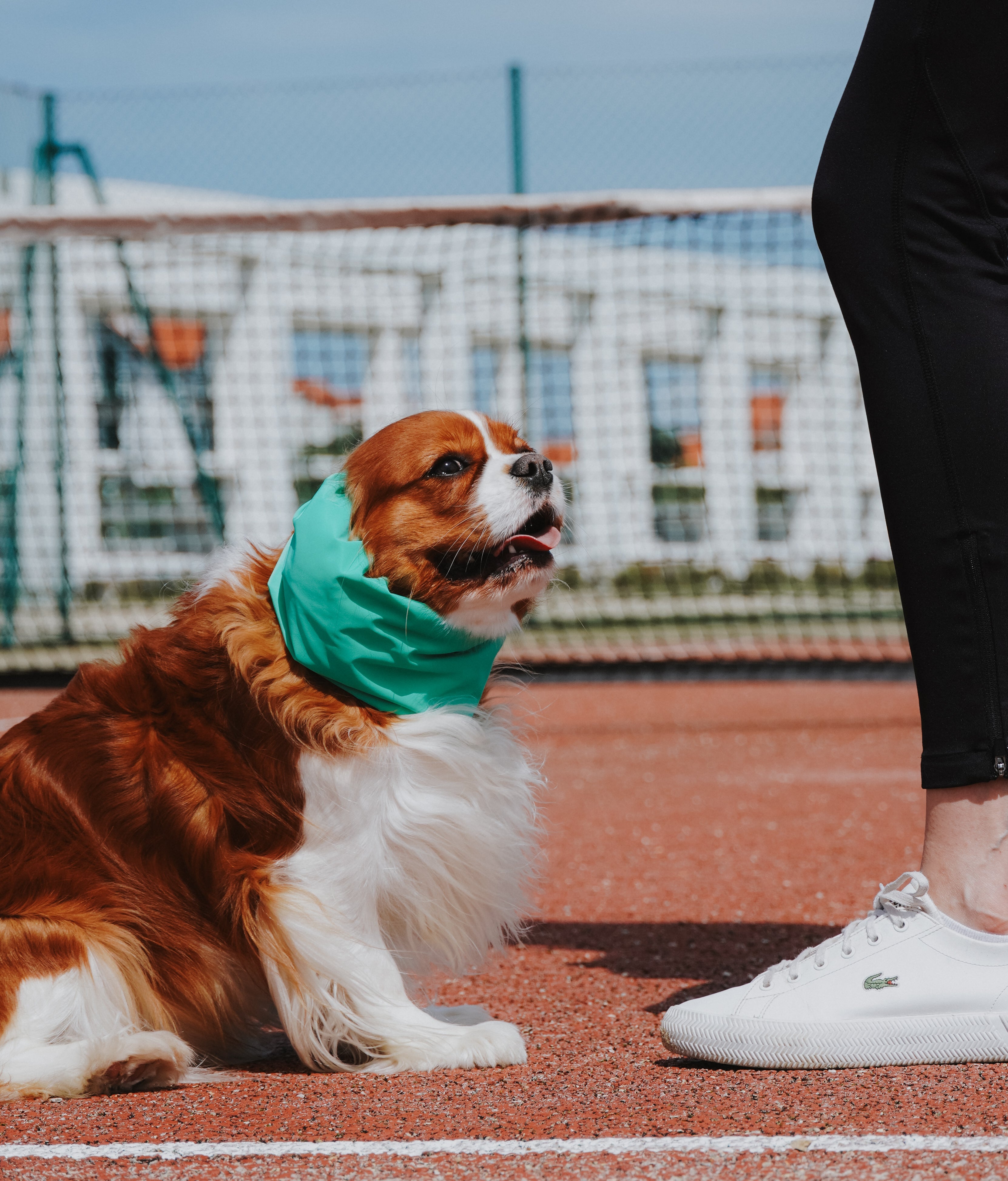 Snood Sport Chic