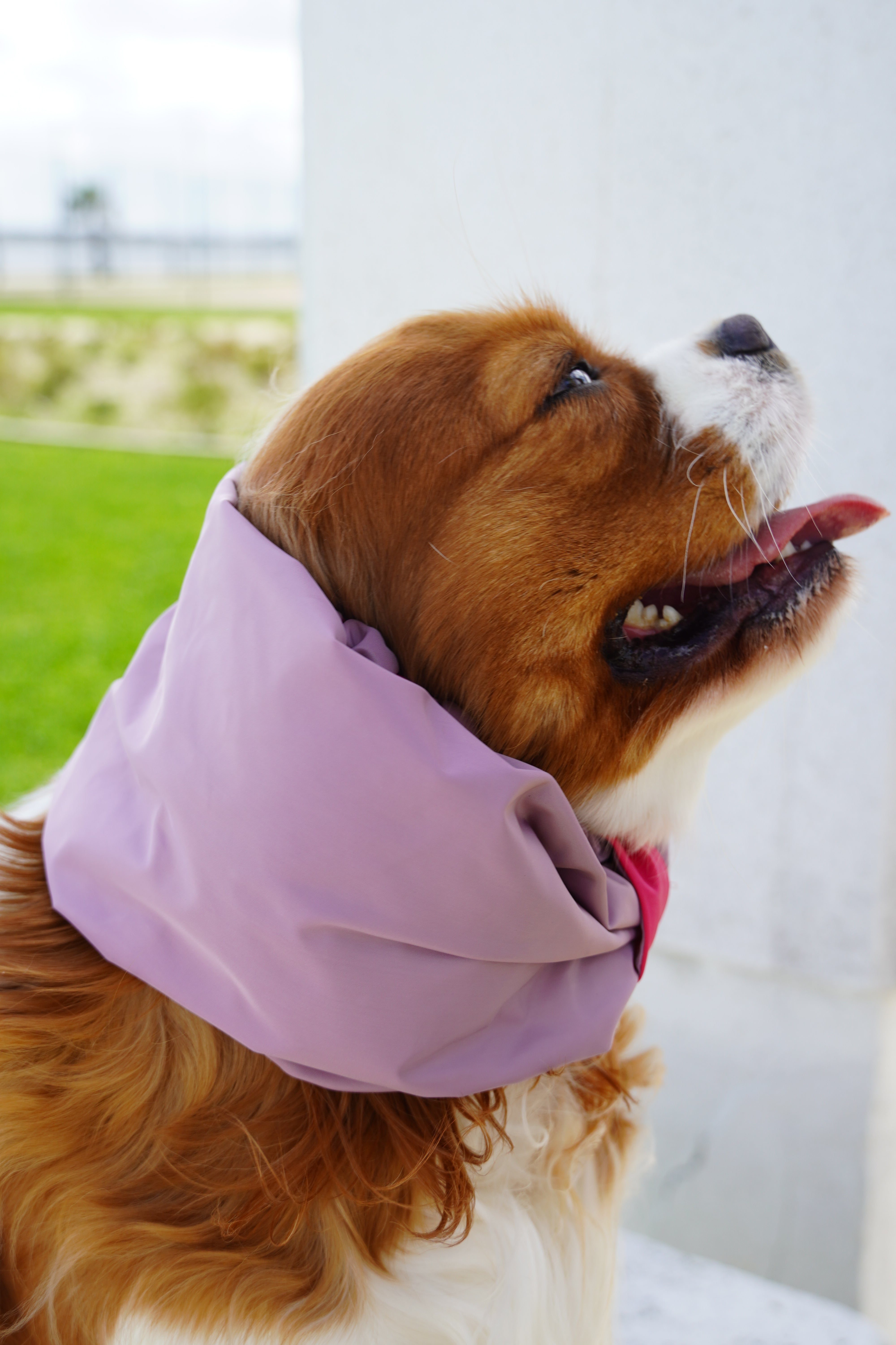 Snood Pink Whisper