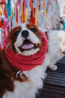 Snood Pink Whisper
