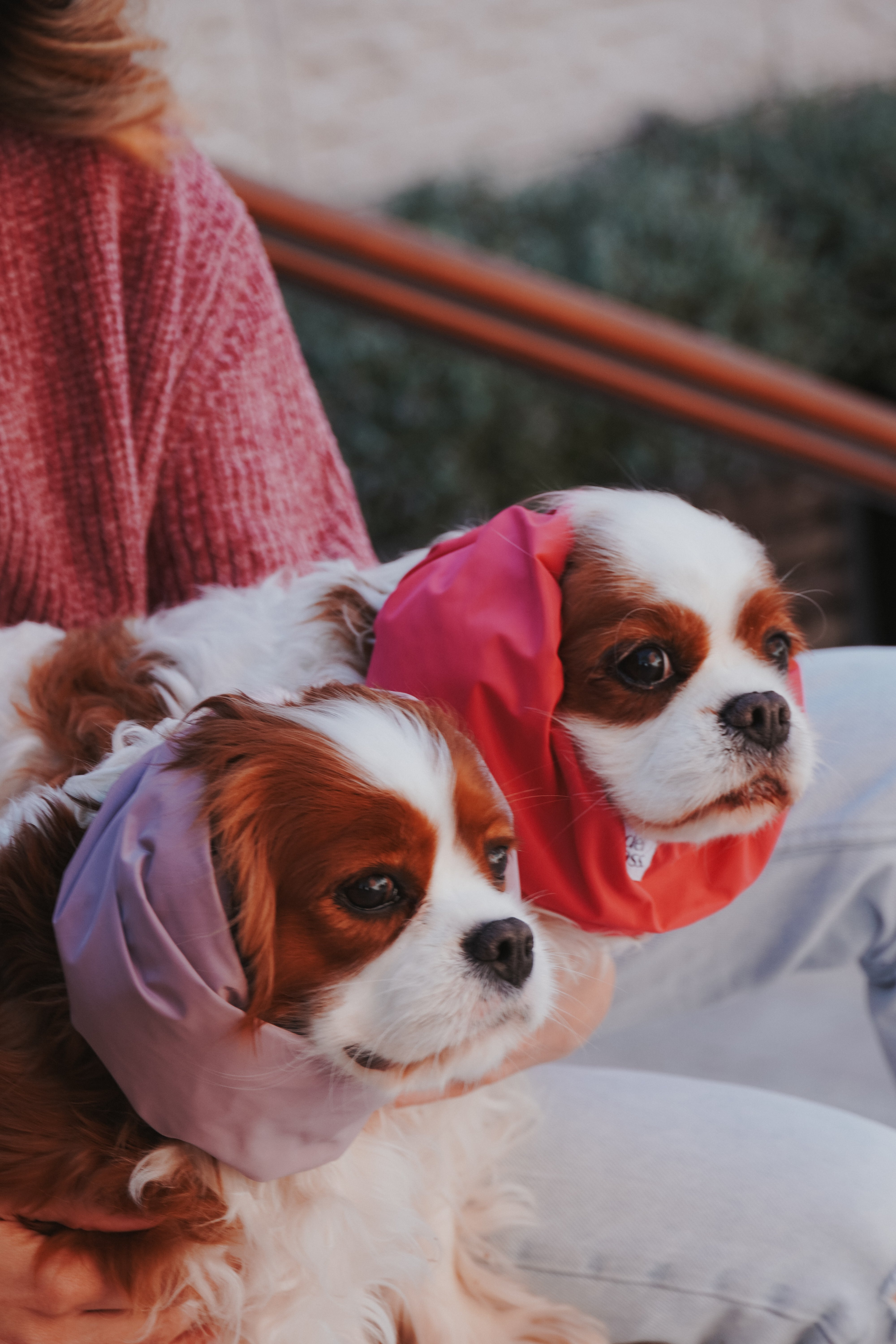 Snood Pink Whisper
