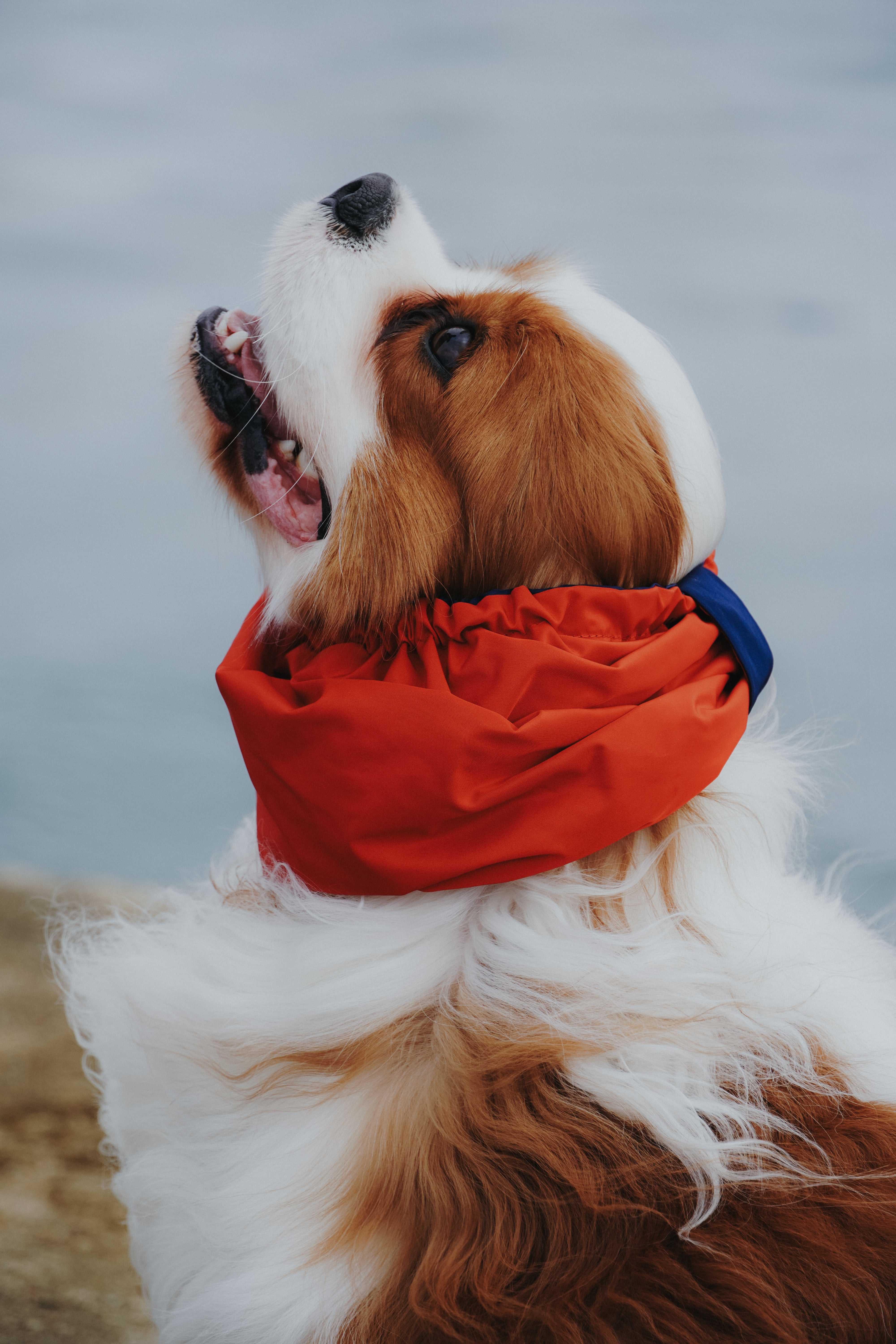 Snood Sailor Spirit