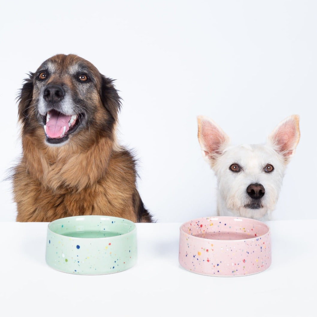 New Party Pet Bowl 14cm Set 2 Green