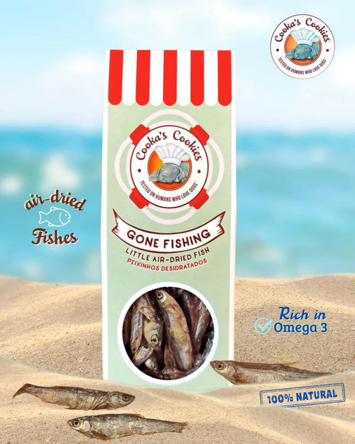 Gone Fishing - Tata's Concept ®️