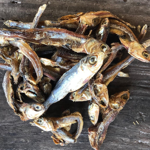 Gone Fishing - Tata's Concept ®️