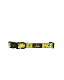 Coleira Tropical Lover para cão — Coleção Solidária Mafalda Adopta — Tata's Concept