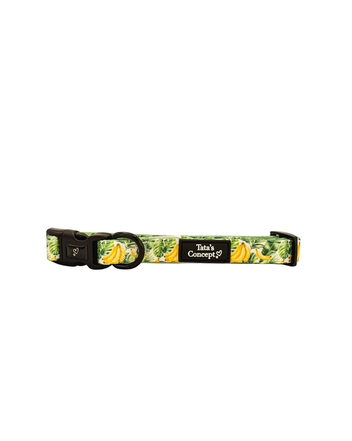 Coleira Tropical Lover para cão — Coleção Solidária Mafalda Adopta — Tata's Concept