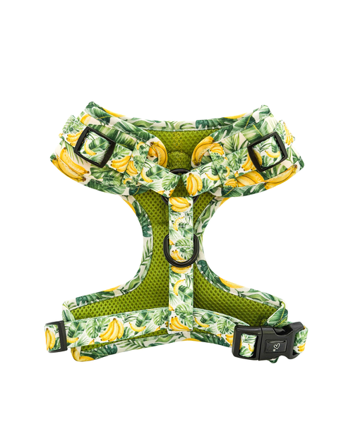 Peitoral Ajustável Tropical Lover para cão — Coleção Solidária Mafalda Adopta — Tata's Concept