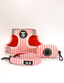 Pack Peitoral Body Coleção SLB Riscas para cão - Produto Oficial Benfica - Tata's Concept