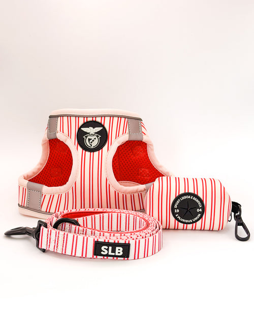 Pack Peitoral Body Coleção SLB Riscas para cão - Produto Oficial Benfica - Tata's Concept