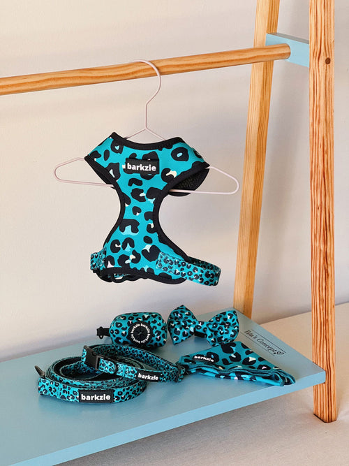 Laços - Tata's Concept ®️