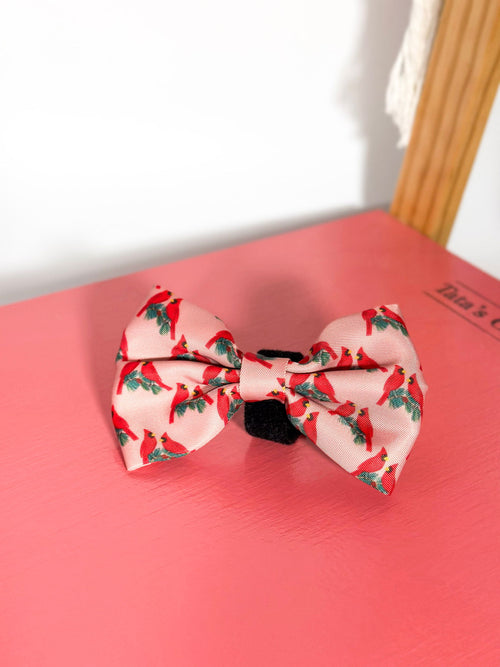 Laços - Tata's Concept ®️