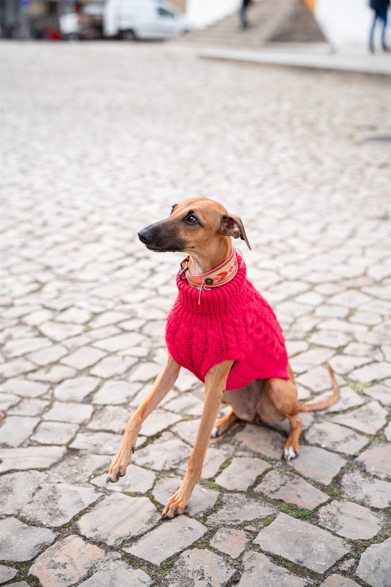Pullover Magenta